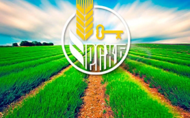 Россельхозбанк в 2022 году увеличил кредитование малого агробизнеса на 7%